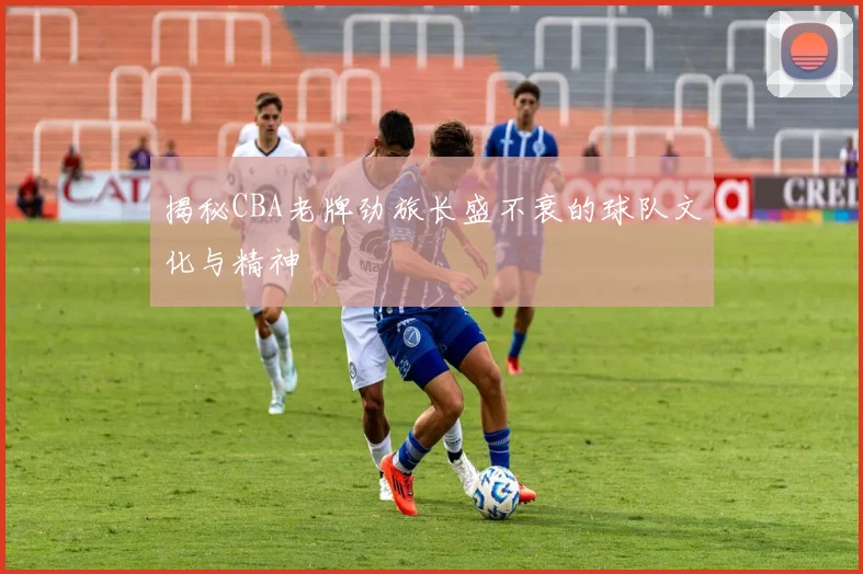 揭秘CBA老牌劲旅长盛不衰的球队文化与精神