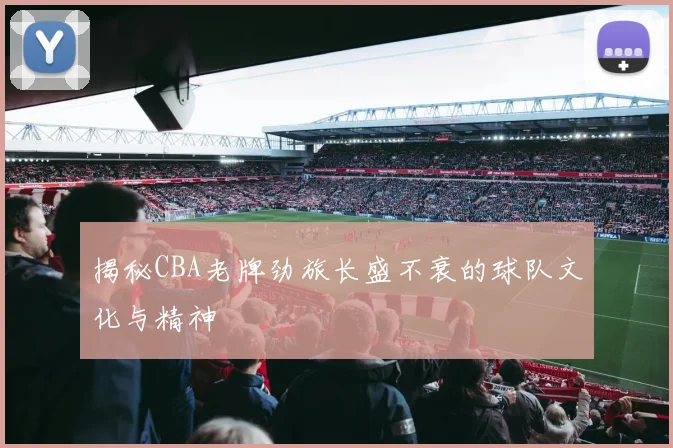 揭秘CBA老牌劲旅长盛不衰的球队文化与精神